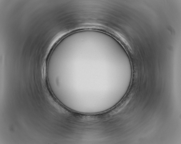 X0000112481275200908171004