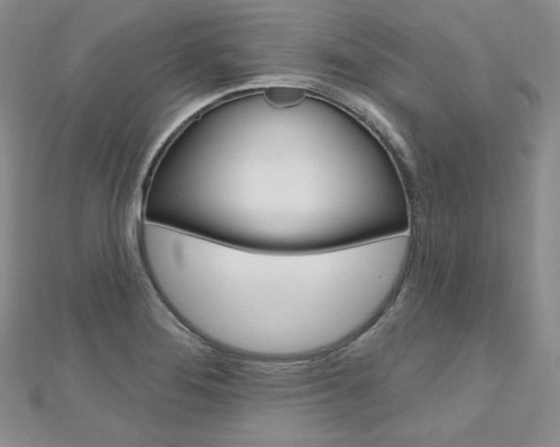 X0000112481276200908171004