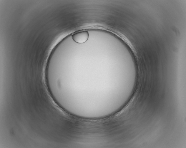 X0000112481277200908171004