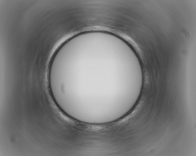 X0000112481278200908171004