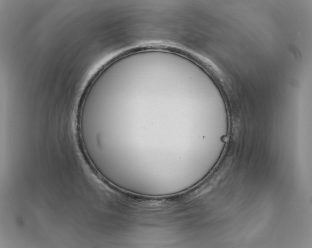 X0000112481279200908171004