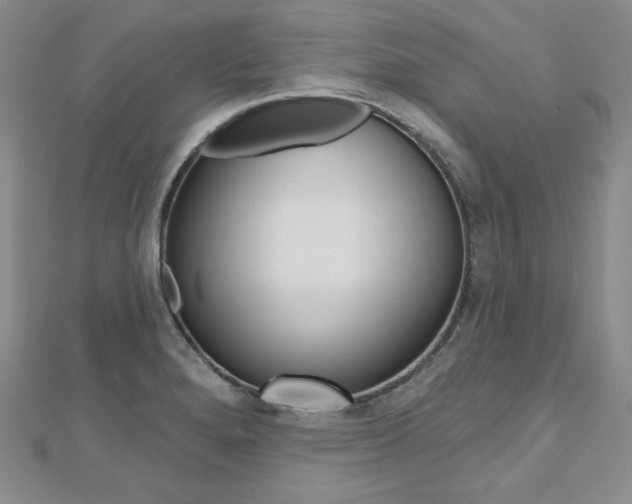 X0000112481280200908171004