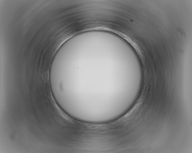 X0000112481281200908171004