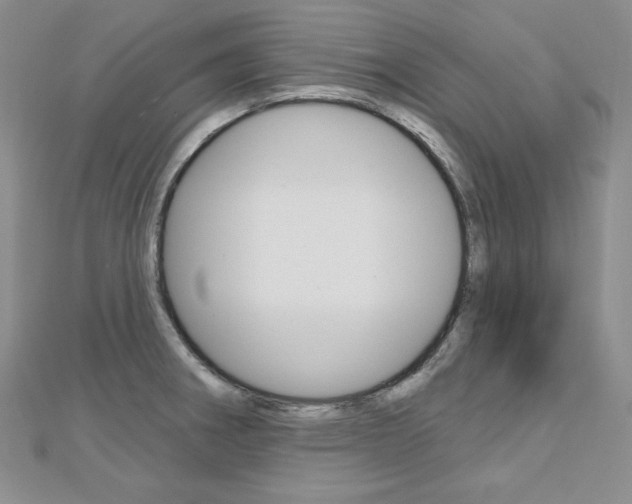 X0000112481282200908171004