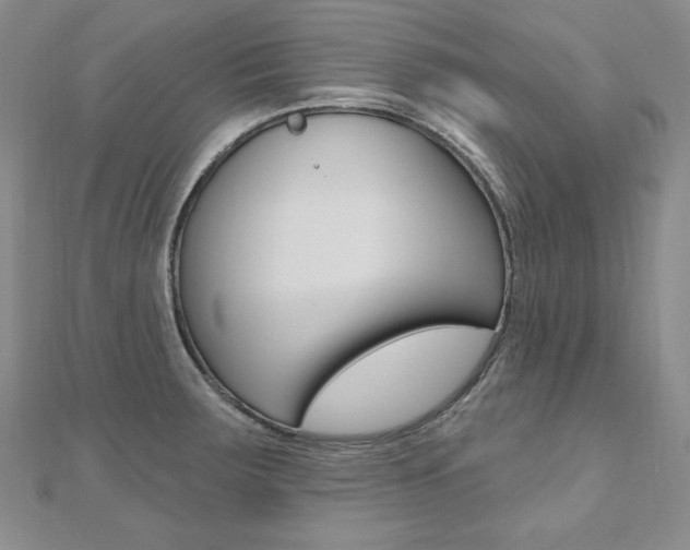 X0000112481283200908171004