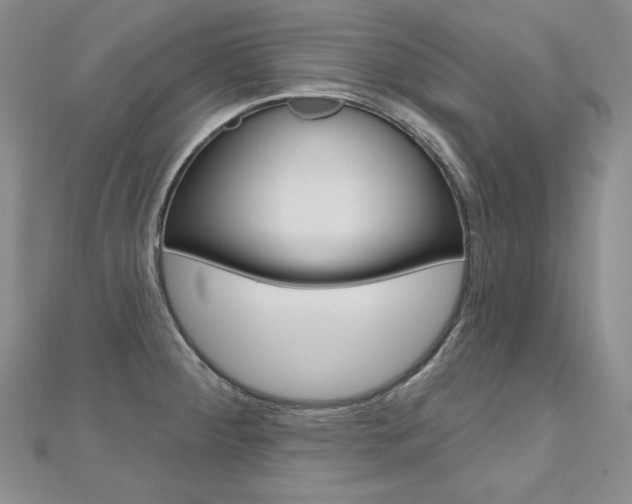 X0000112481284200908171004