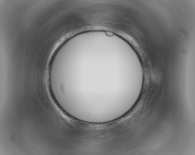 X0000112481286200908171004
