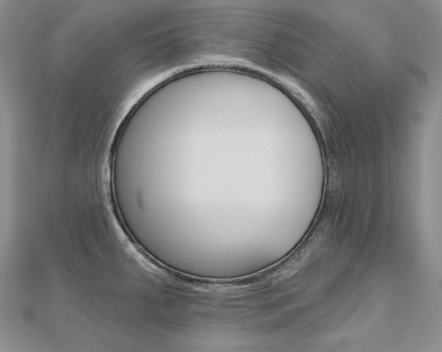X0000112481287200908171004