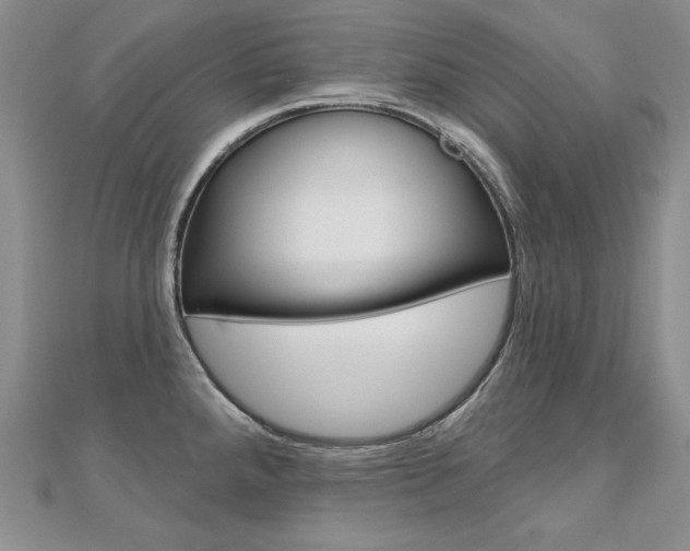 X0000112481288200908171004