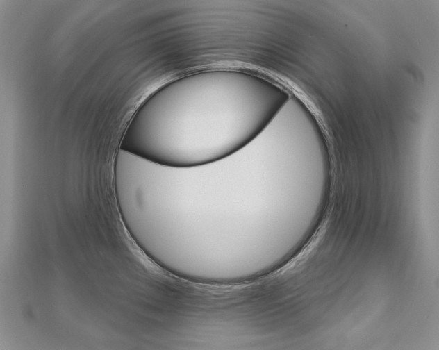 X0000112481289200908171004