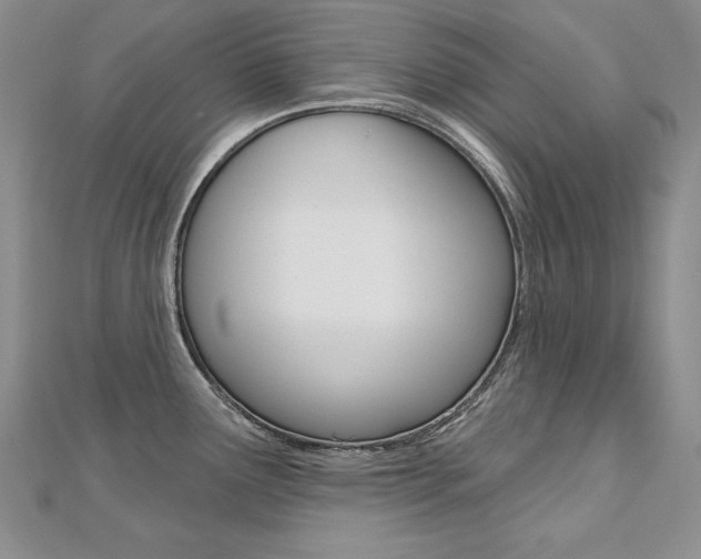 X0000112481291200908171004