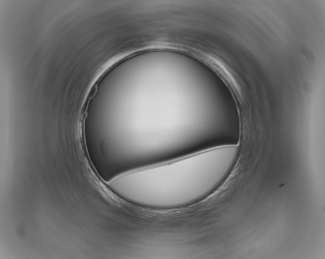 X0000112481292200908171004