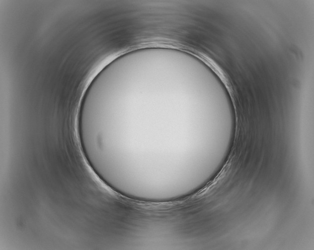X0000112481293200908171004