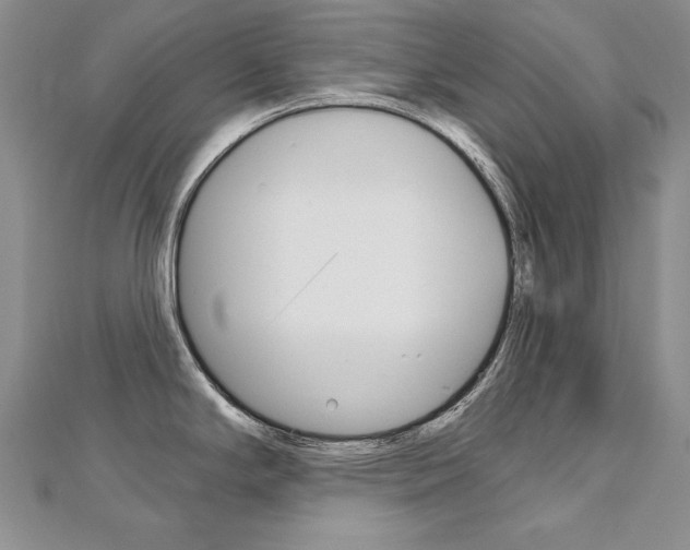 X0000112481294200908171004