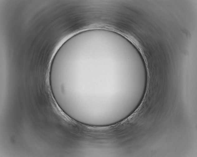 X0000112481296200908171004
