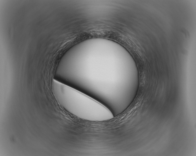 X0000112481297200908171003