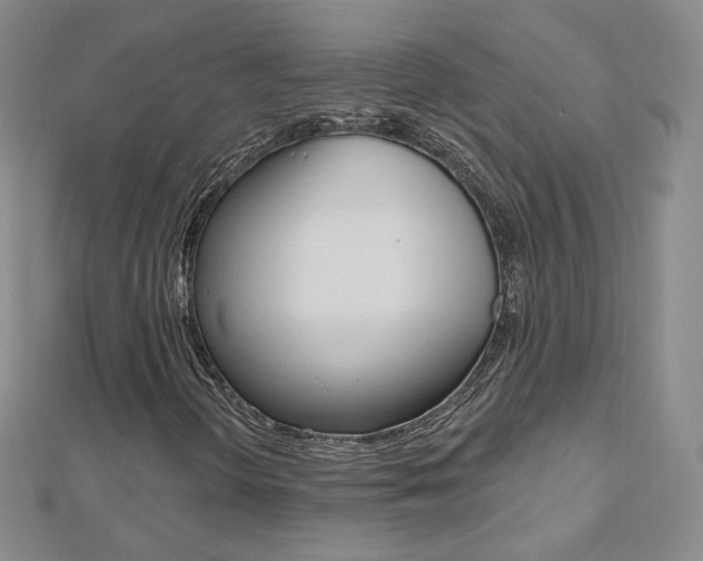X0000112481298200908171003