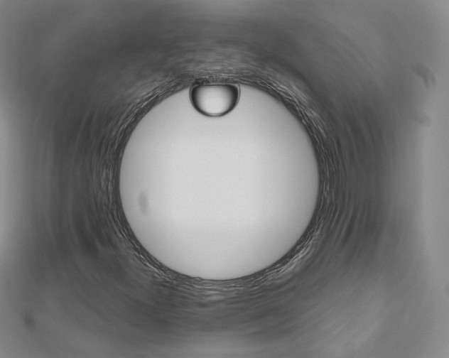 X0000112481300200908171003
