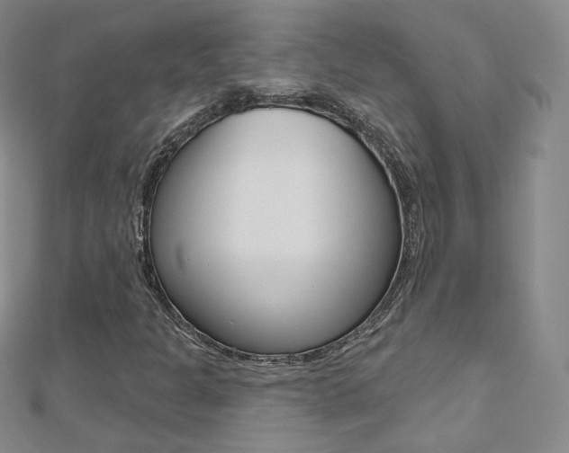X0000112481301200908171003