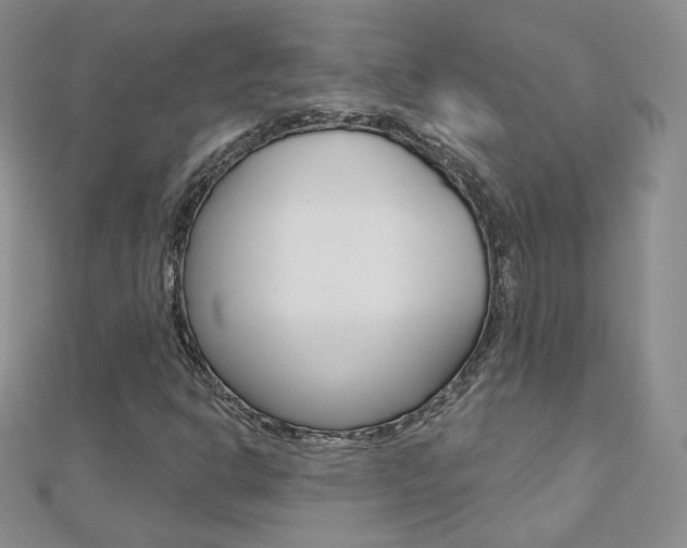 X0000112481302200908171003