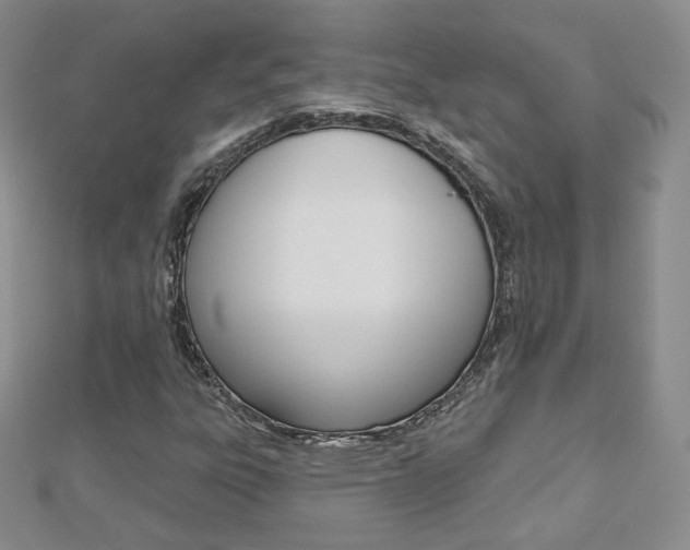 X0000112481303200908171003