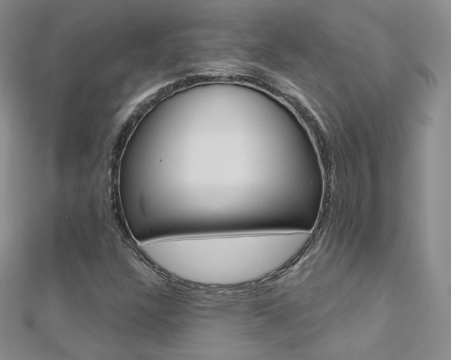 X0000112481304200908171003