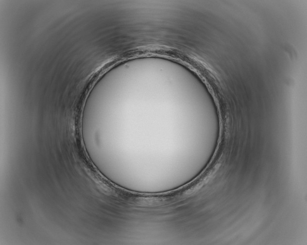 X0000112481305200908171003