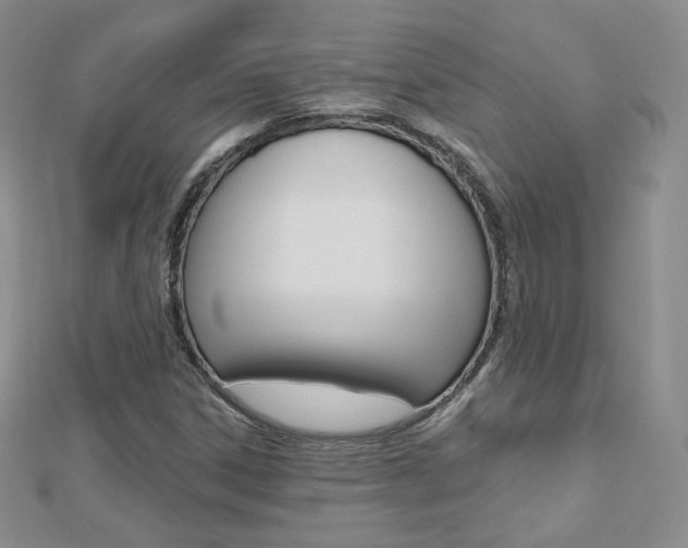 X0000112481306200908171003
