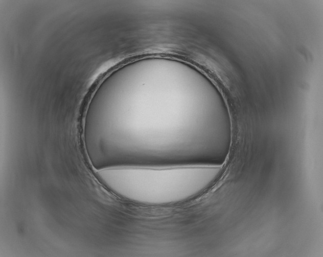 X0000112481308200908171003