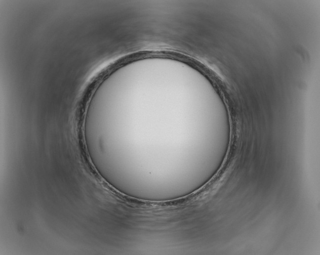 X0000112481311200908171003