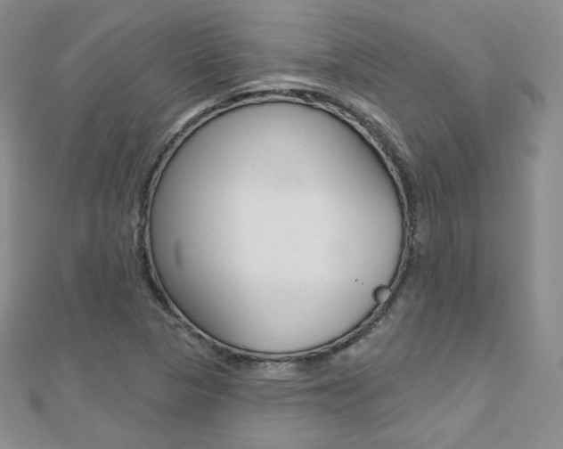 X0000112481313200908171004