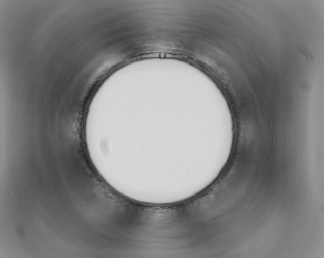X0000112481314200908171004