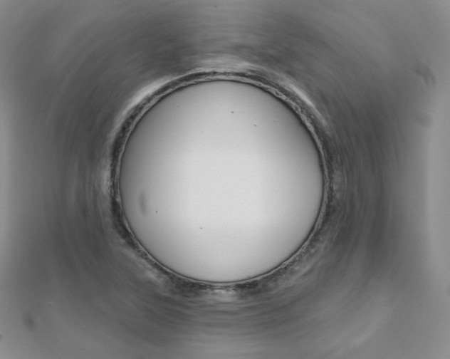 X0000112481315200908171004