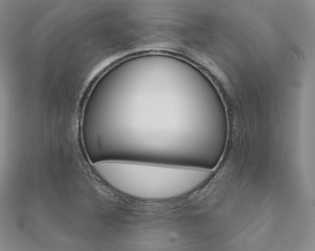 X0000112481316200908171004