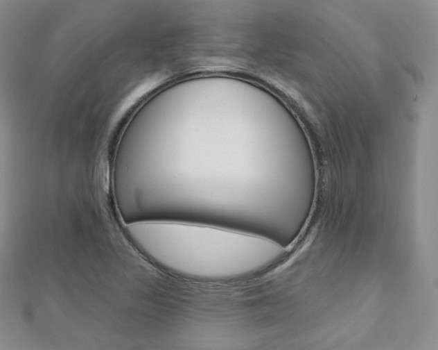 X0000112481317200908171004