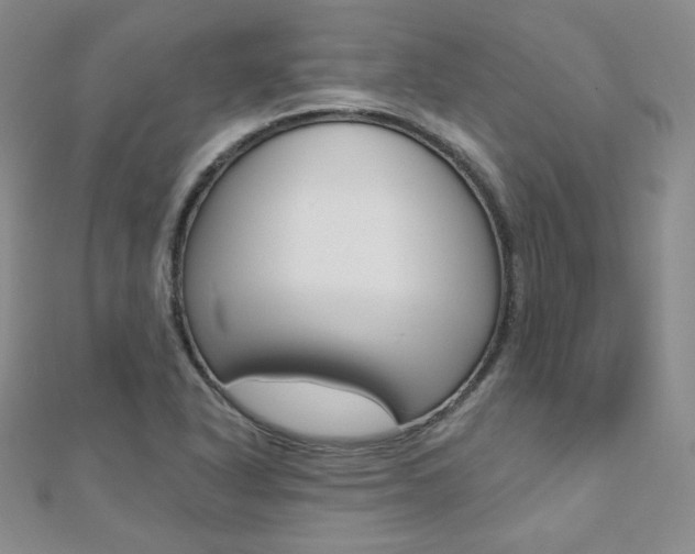 X0000112481318200908171004