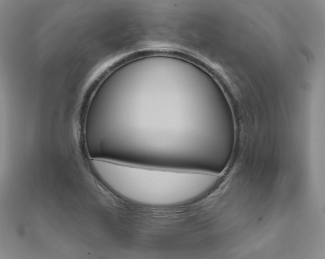 X0000112481319200908171004