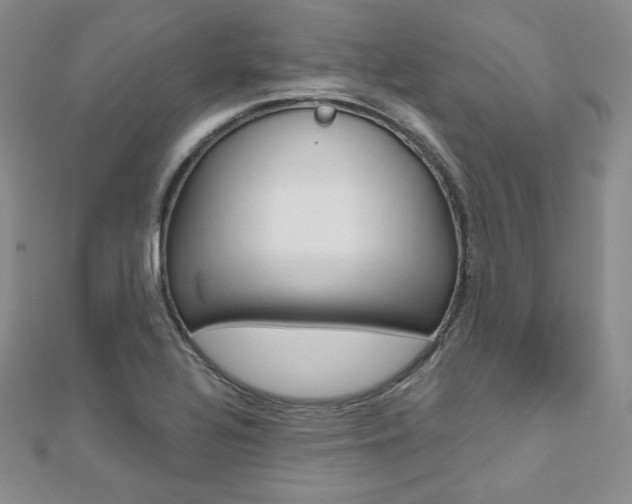 X0000112481320200908171004
