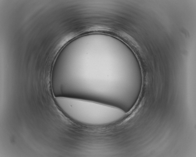 X0000112481321200908171004