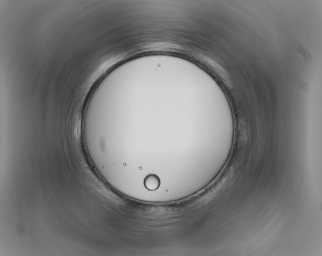 X0000112481322200908171004