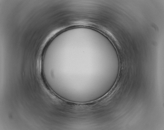 X0000112481323200908171004