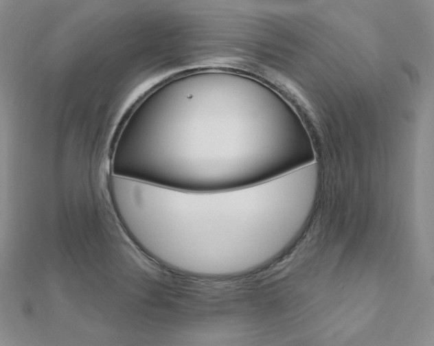 X0000112481324200908171004