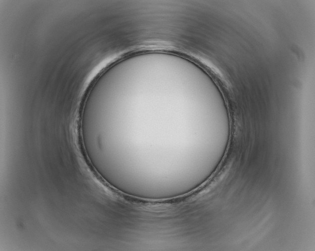 X0000112481325200908171004