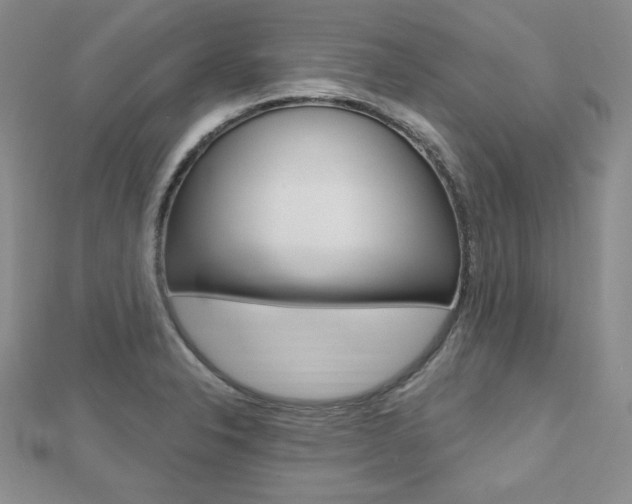 X0000112481326200908171004
