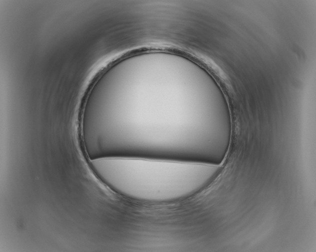 X0000112481327200908171004