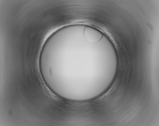 X0000112481328200908171004