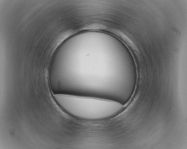 X0000112481329200908171004
