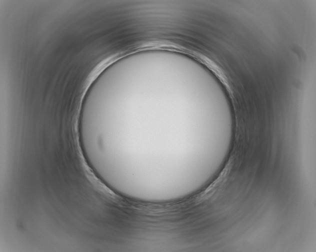 X0000112481330200908171004