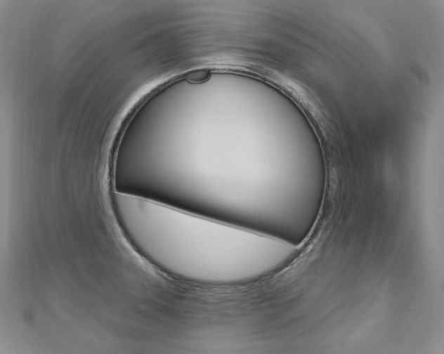 X0000112481331200908171004