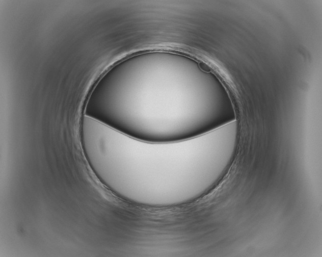 X0000112481332200908171004